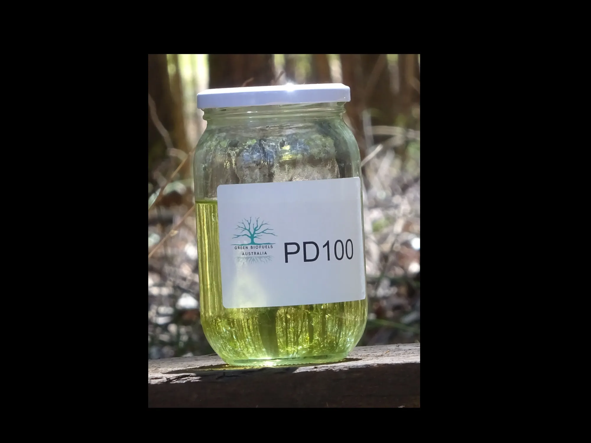 PD100™ Pongamia pure plant oil — mechanically pressed