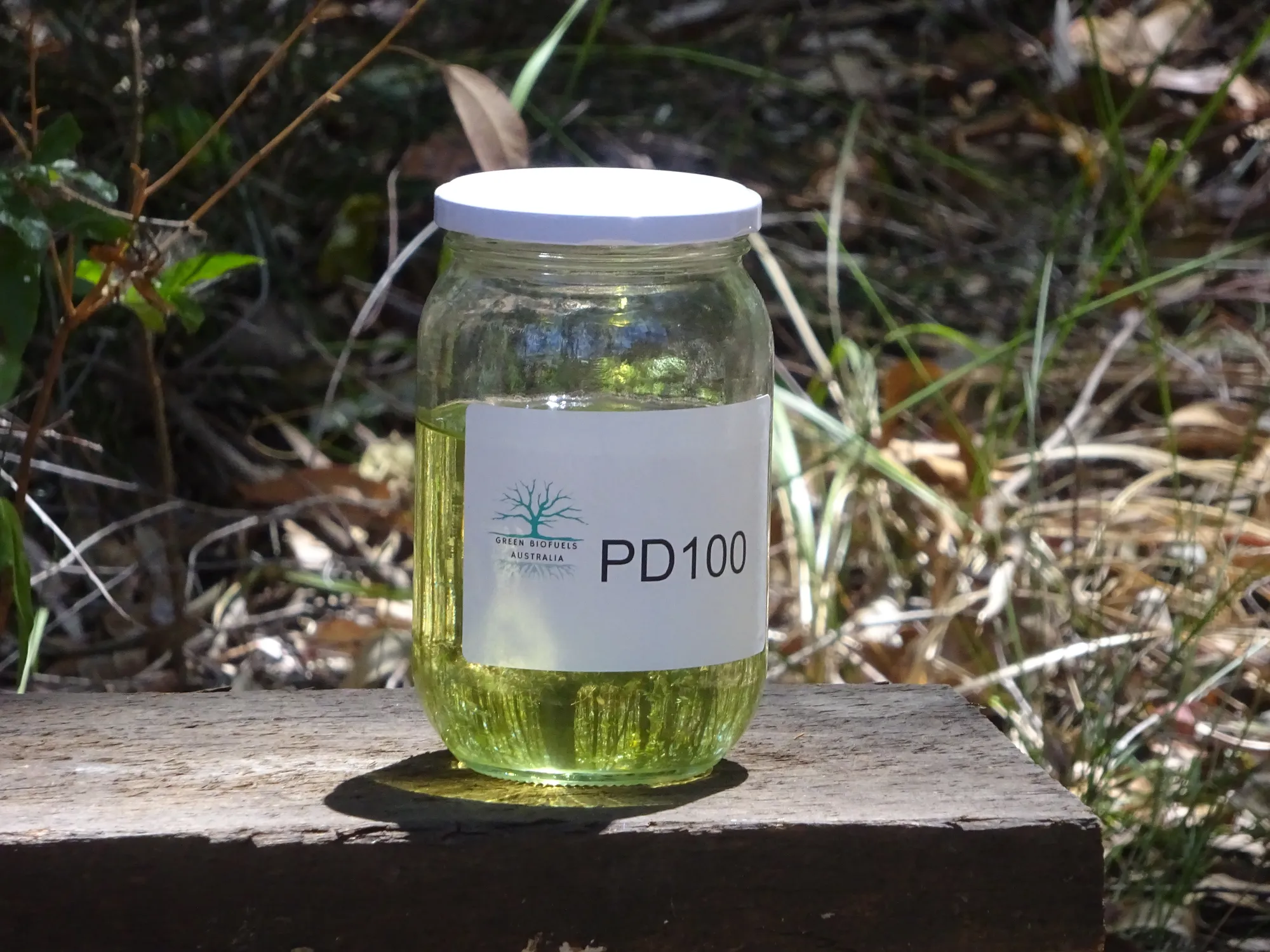 PD100™ — mechanically pressed Pongamia pure plant oil, ready for use as diesel substitute